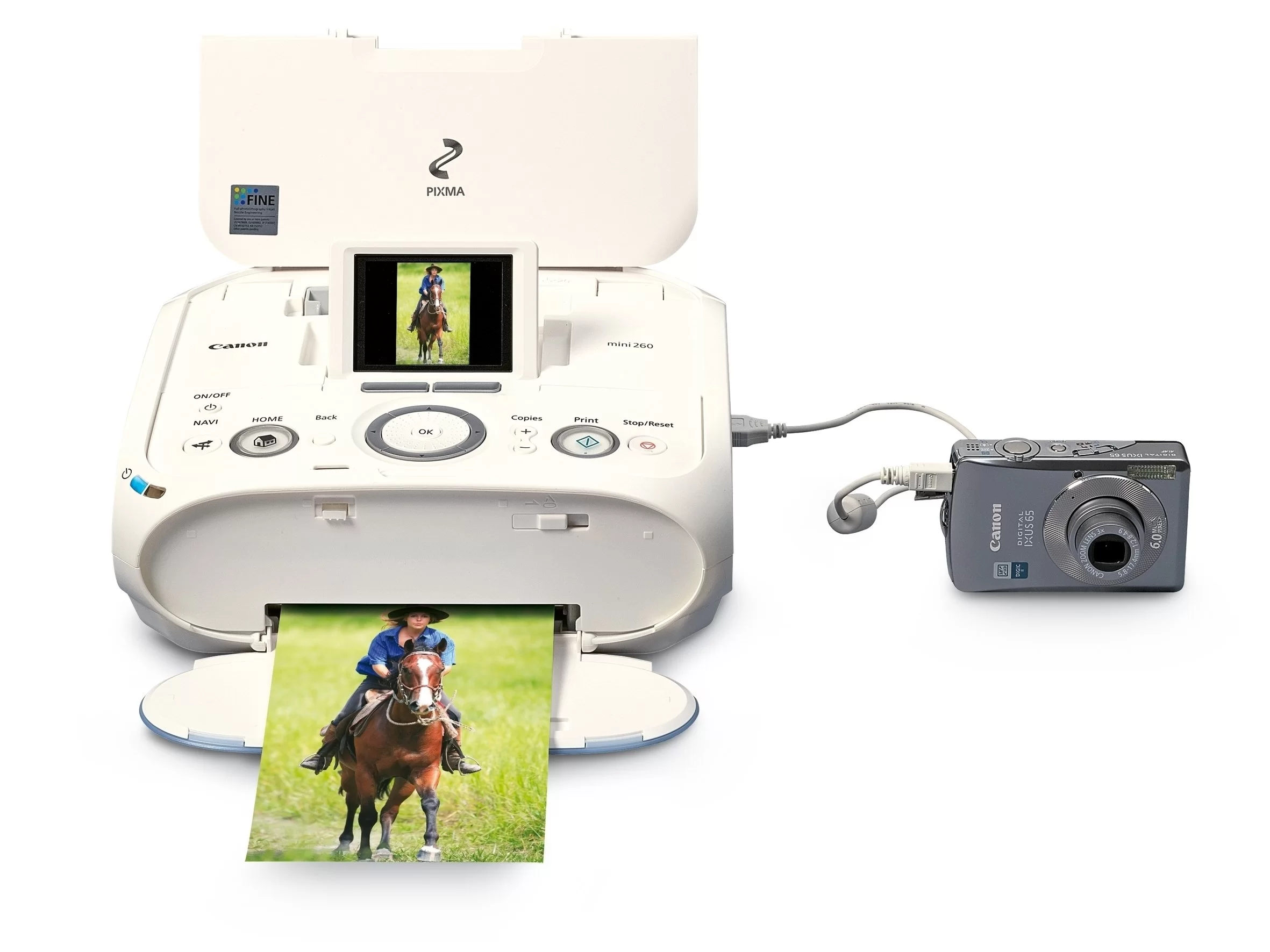 Canon PIXMA mini260 driver